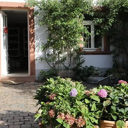 Julius In Der Pfalz Hotel *