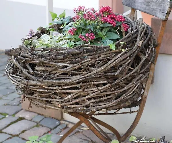 Julius In Der Pfalz Hotel Hainfeld